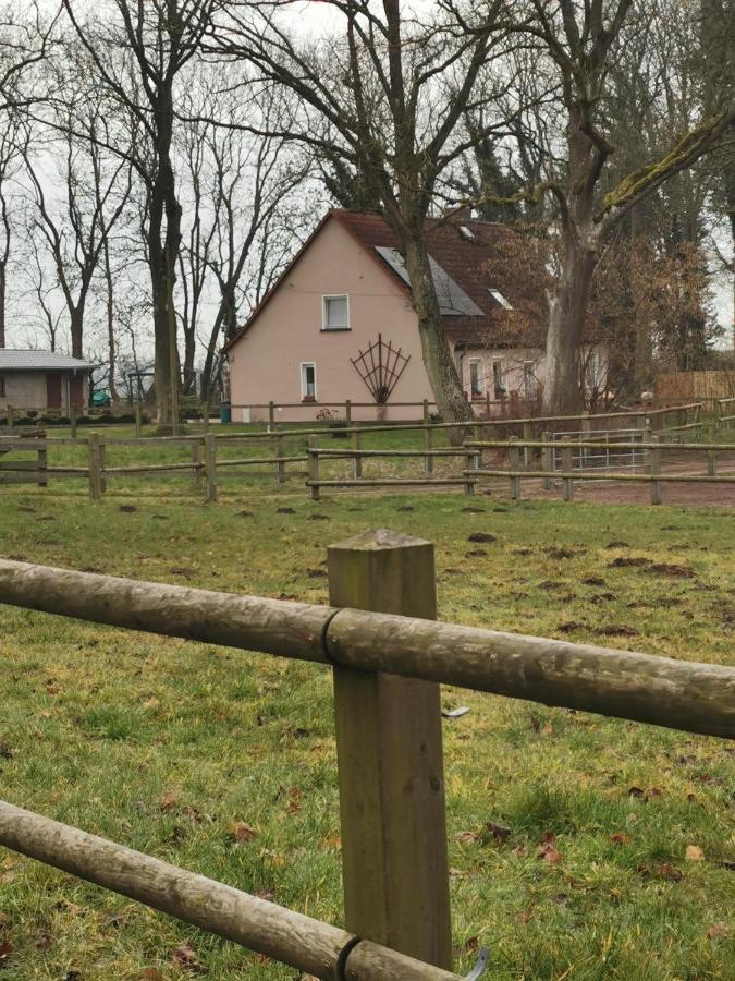 Ferienwohnung Am Stadtrand Garz Ruegen Esterno foto